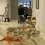 Exposición de cogomelos en Celanova, ano 2010